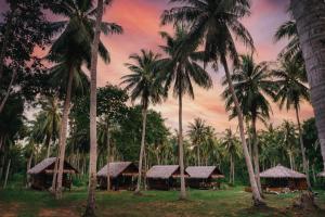 coco canopy boutique resort