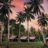 coco canopy boutique resort