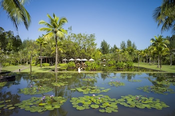 the sarojin