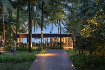 the sarojin