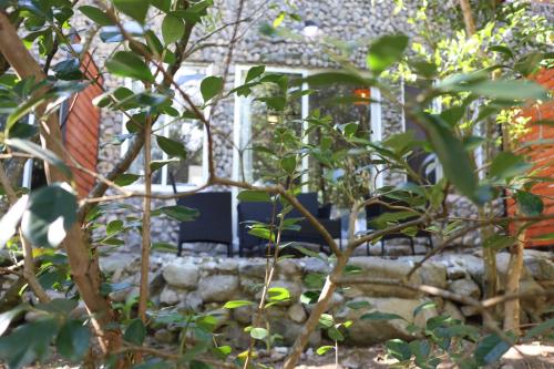 boquete firefly inn