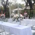 bananaleaf wedding cafe and resort