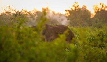 Aardvark Safari Lodge,,3 star