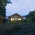 nkuringo