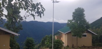 nkuringo