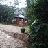 nkuringo