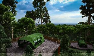 saffron beach resort and adventure park