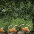saffron beach resort and adventure park
