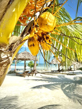 white star ocean view hotel