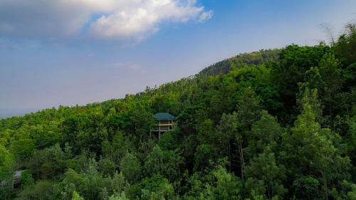 The Hive Wayanad By Kondody Hotels,,3 star