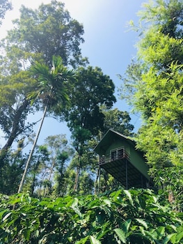 wayand whistling woods