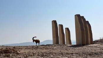 arad