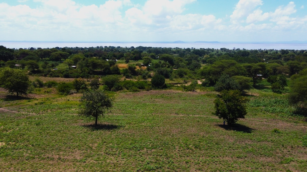 africa safari rift valley