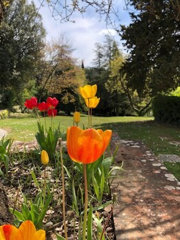 castellina in chianti