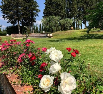 castellina in chianti