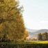 agriturismo borgo scaffaia