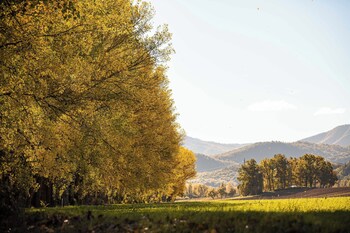 agriturismo borgo scaffaia