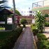 the palms resort