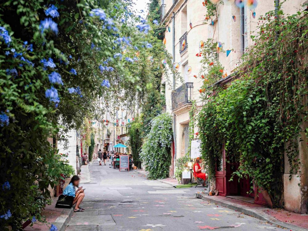 ibis montpellier sud