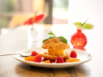 ibis montpellier sud