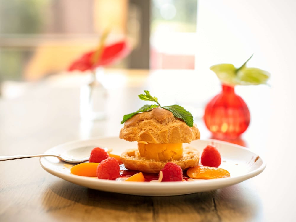 ibis montpellier sud