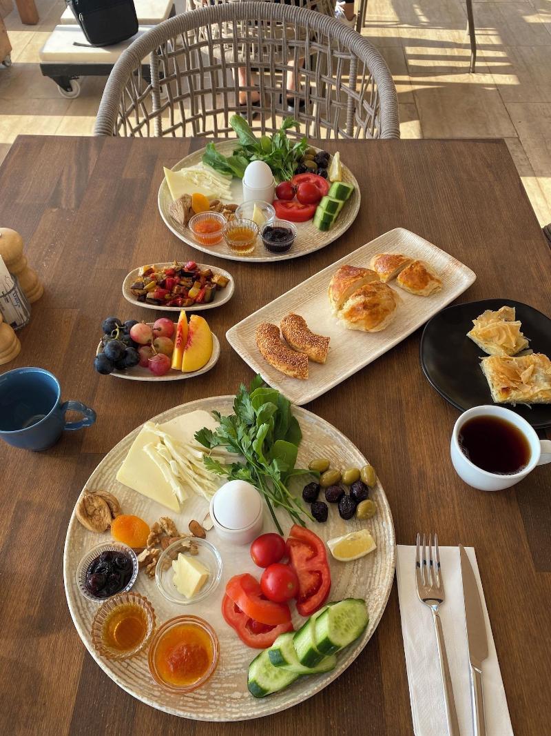 amasya atabey konagi