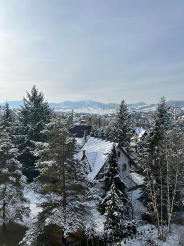 zlatibor