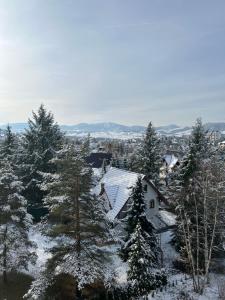zlatibor