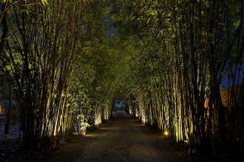 tigerland safari a lemon tree resort