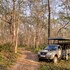 tigerland safari a lemon tree resort