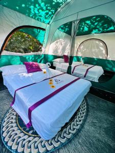 shanti wellness sanctuary