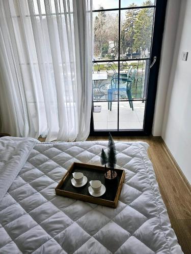 struga riverview hotel