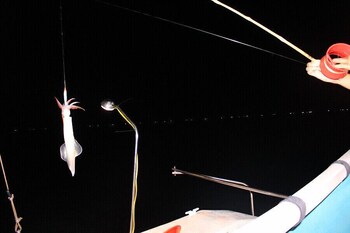 daiichi boutique cruise