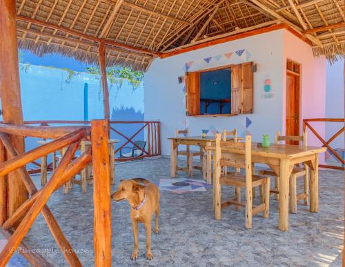 spice sea beach house and restaurant