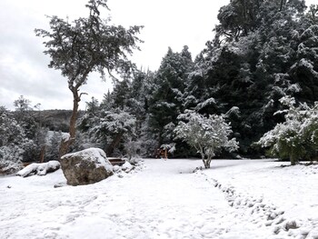 villa labrador bariloche