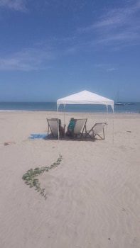 los organos