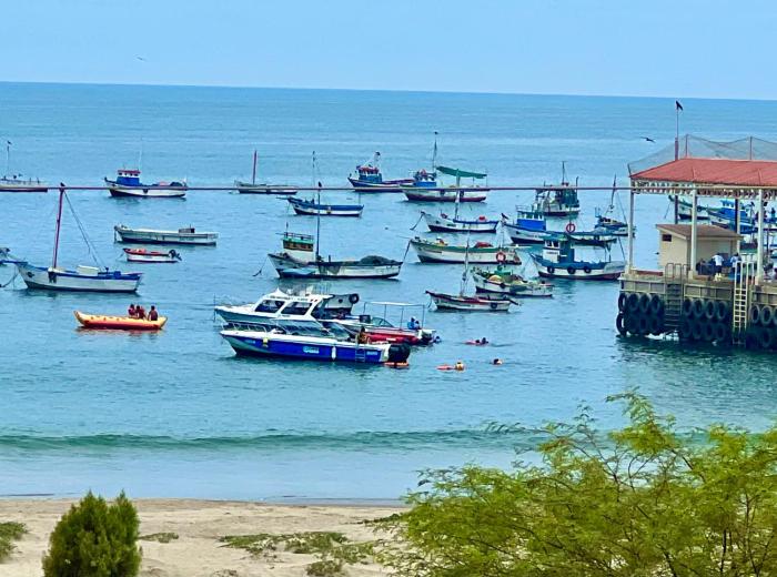 punta veleros rooftop