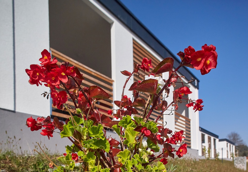 mobile homes terme jezercica