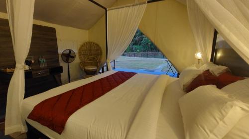 redberrys luxury stay