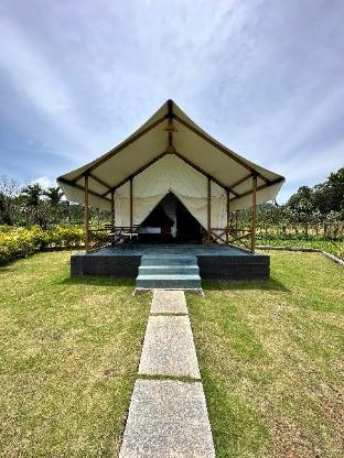 redberrys luxury stay