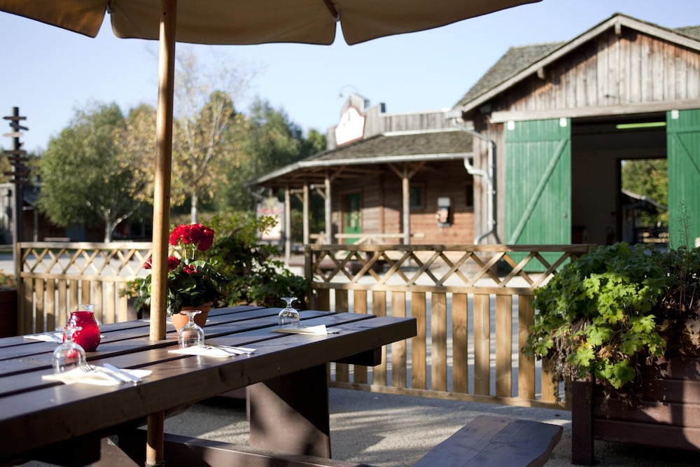 disney davy crockett ranch