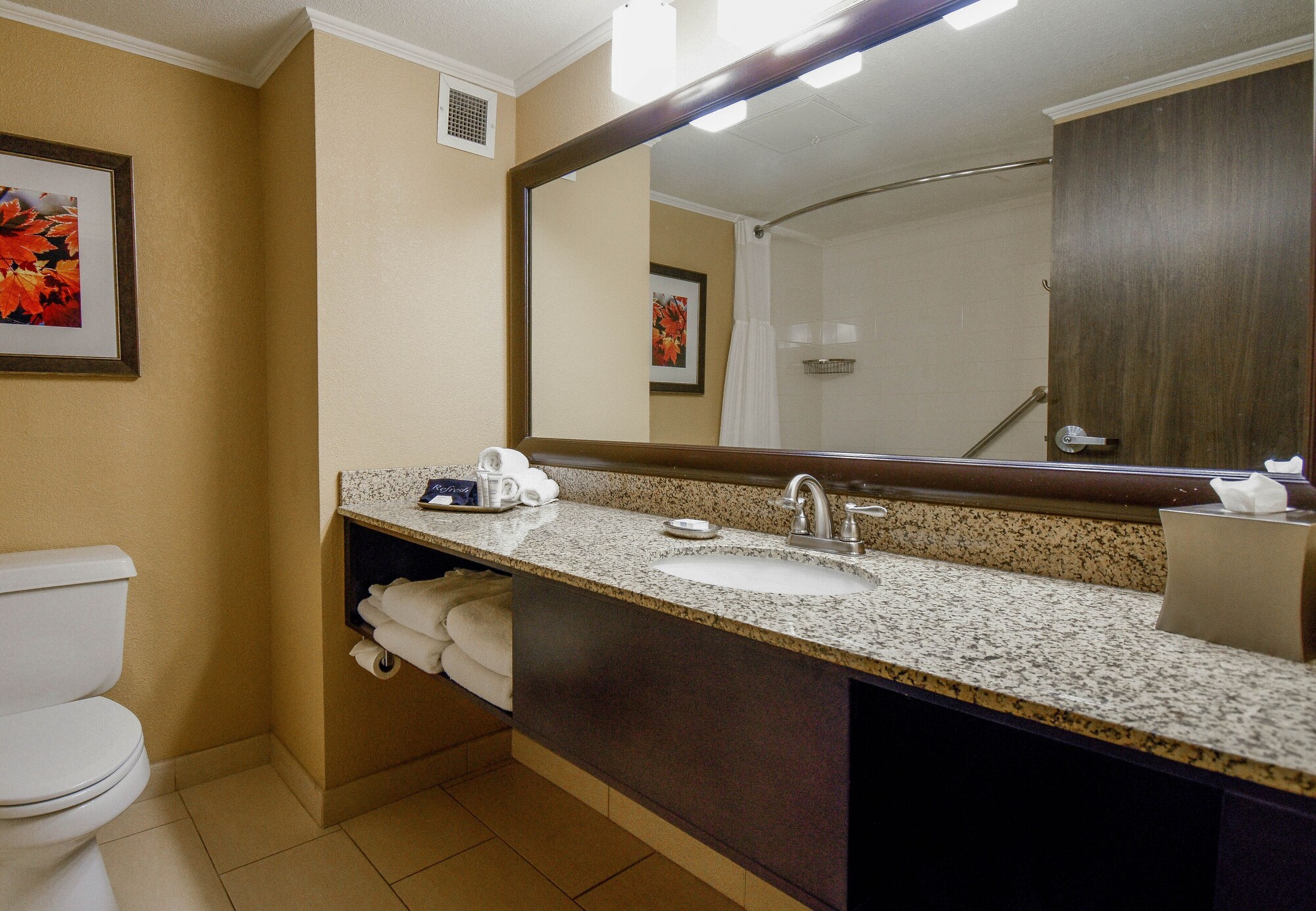 branson hillside hotel