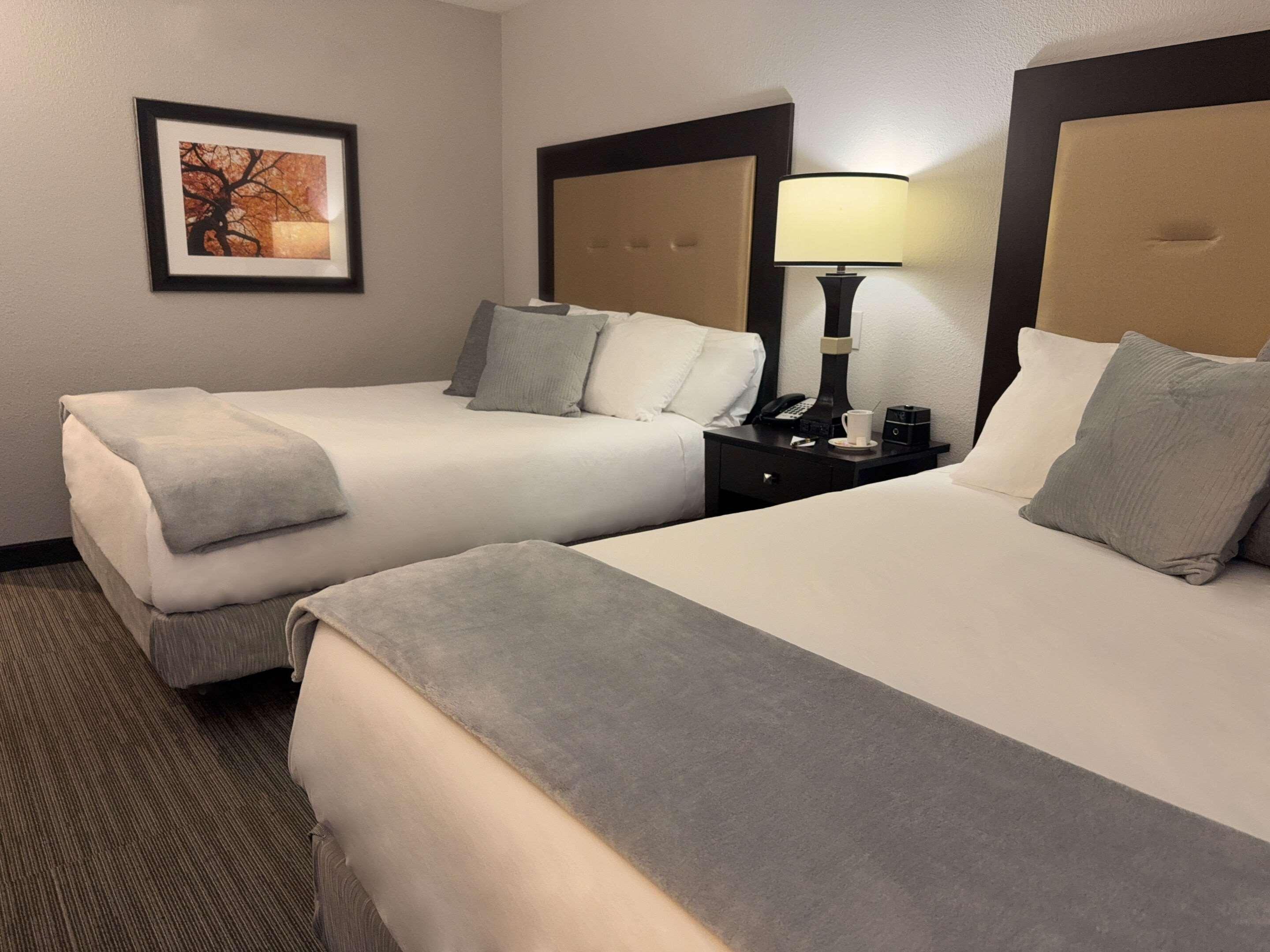 branson hillside hotel