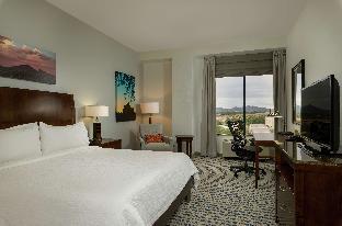 hilton garden inn phoenix airport north