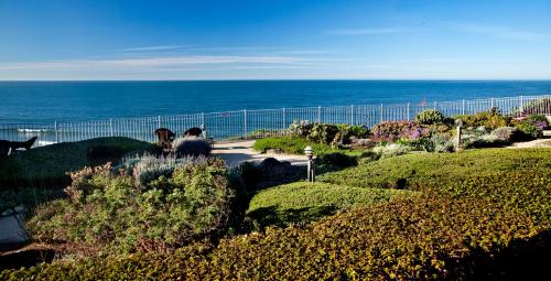 cottage inn by the sea