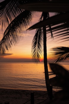 nikki beach resort and spa