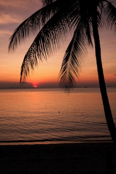 nikki beach resort and spa