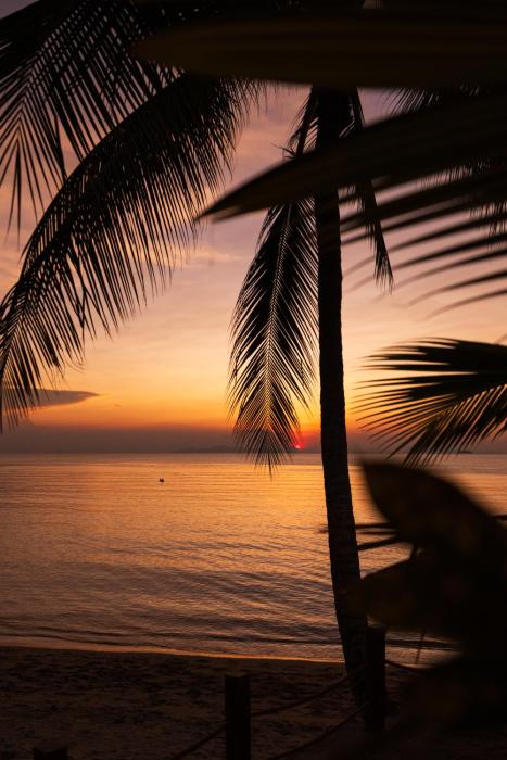 nikki beach resort and spa