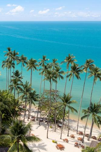 nikki beach resort and spa