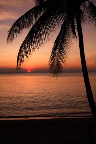 nikki beach resort and spa